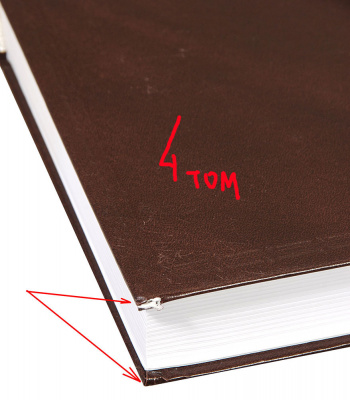 DSC_5910-2
