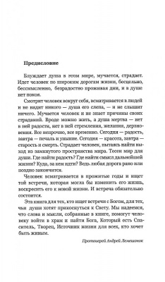 Scan307