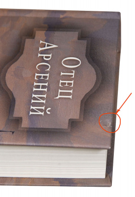 DSC_2350-1