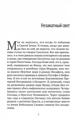 Scan029