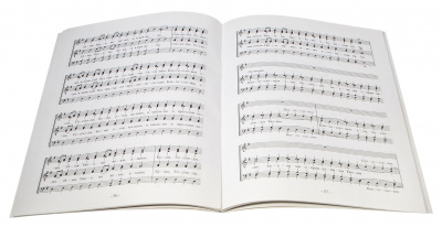 DSC_1289-4