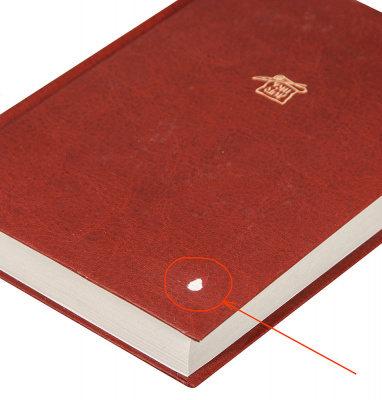 0DSC_0356-1