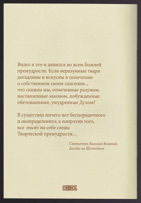 IMG_20201120_0038